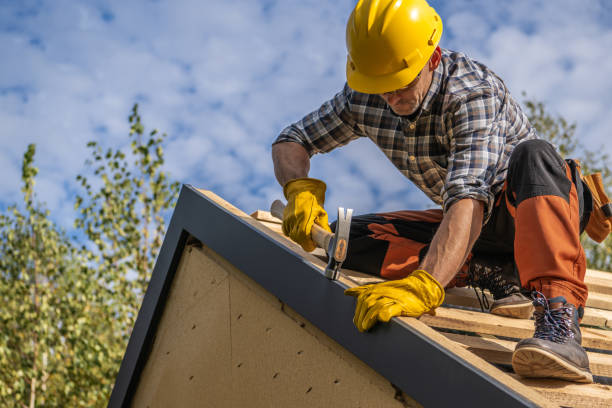 Best Roof Moss and Algae Removal  in Jersey Village, TX